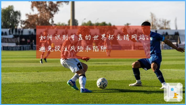 如何识别可靠的世界杯竞猜网站，避免投注风险和陷阱
