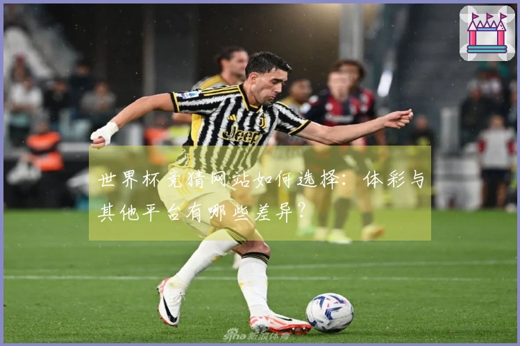 世界杯竞猜网站如何选择：体彩与其他平台有哪些差异？