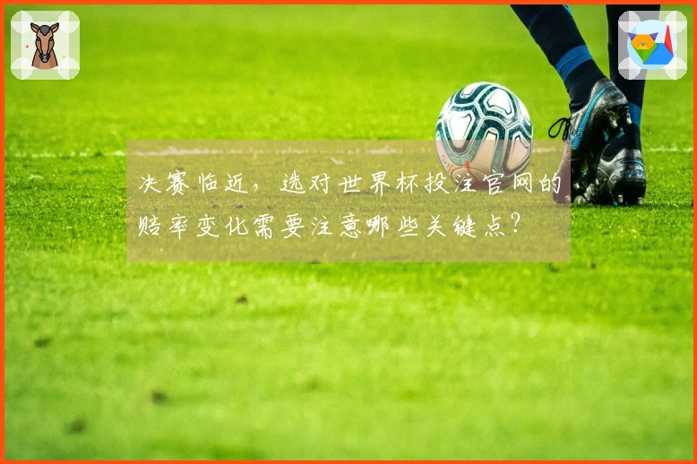 决赛临近，选对世界杯投注官网的赔率变化需要注意哪些关键点？